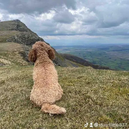 Holiday home Sea View Solway Firth Cumbria 3 Bedrooms *
