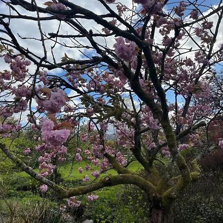 Sea View Solway Firth Cumbria 3 Bedrooms Сasa de vacaciones Parton (Cumbria)